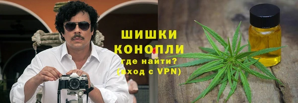 PSILOCYBIN Алексеевка