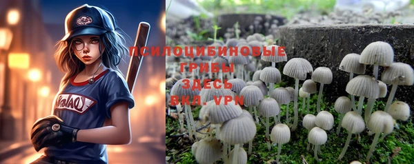 PSILOCYBIN Алексеевка