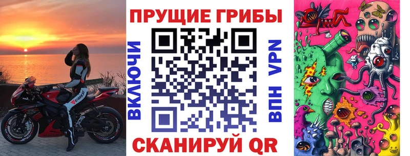 MEGA зеркало Славск Галлюциногенные грибы Psilocybe